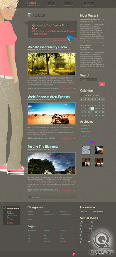 WT f0101 - Шаблон для WordPress