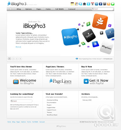 100325_pagelines_iblogpro